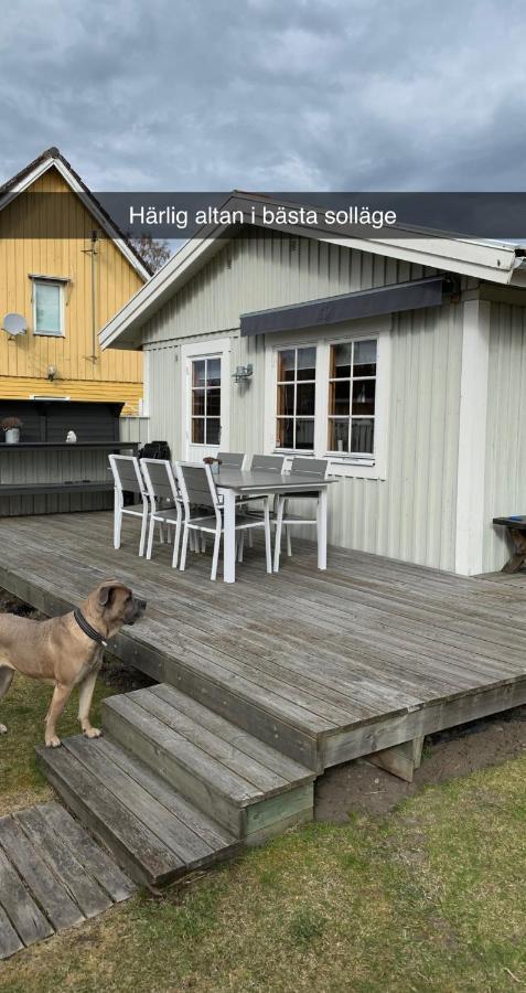 Villa Sus&Dus Yngsjö Esterno foto